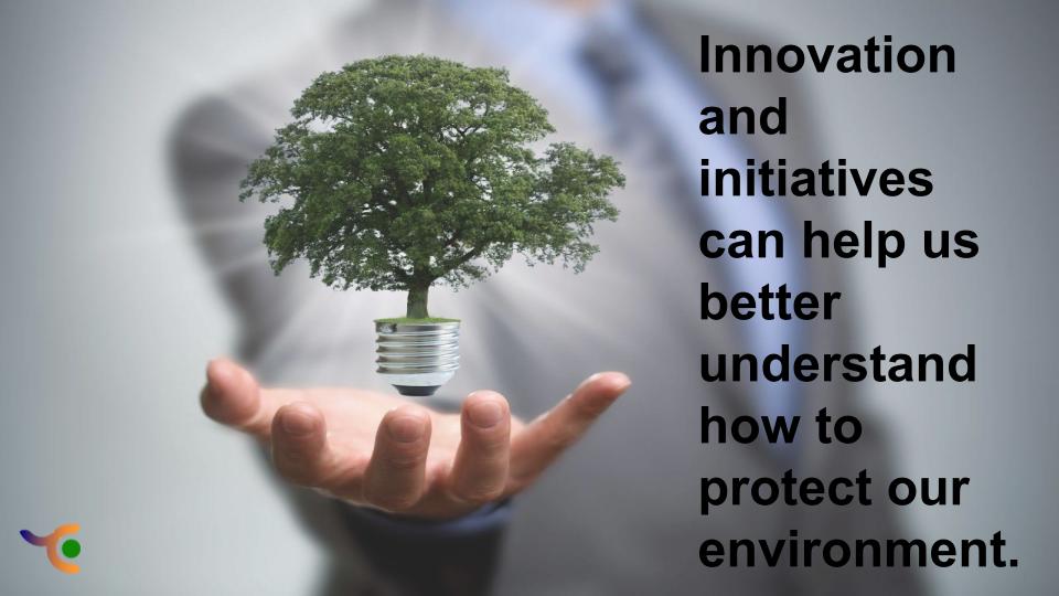 Environment and Innovation