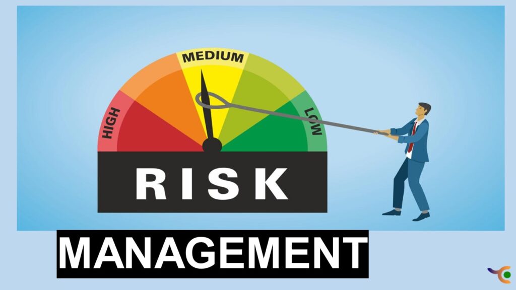 Use of Risk Management in IT