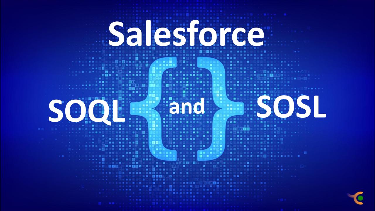 Salesforce SOQL and SOSL