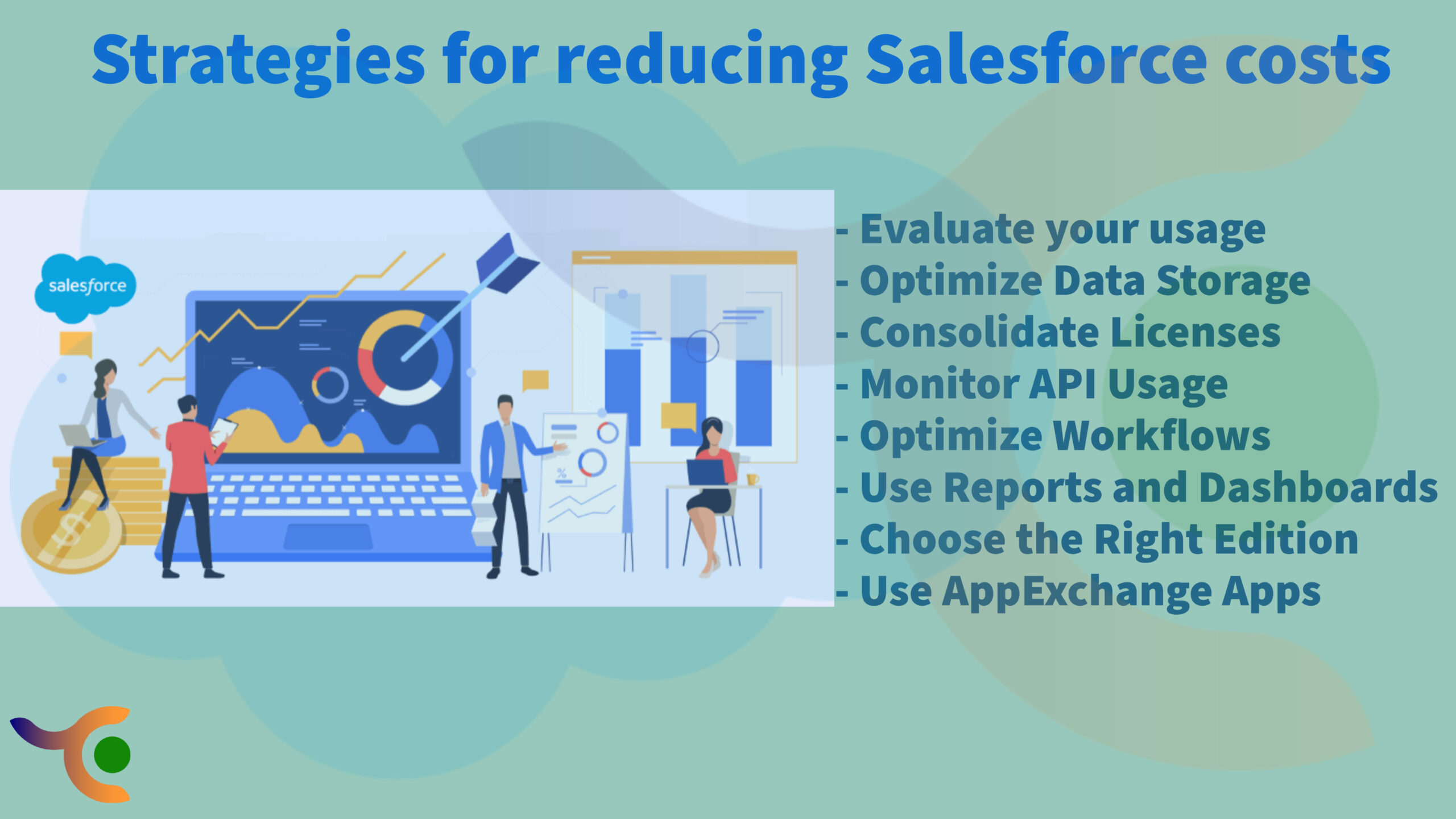 Strategies for reducing Salesforce costs