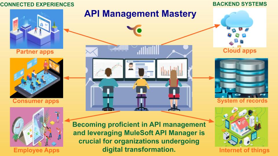 API Management Mastery