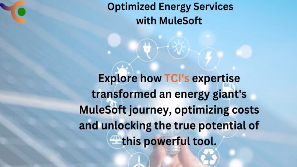 MuleSoft License Cost Optimization for Energy Sector: Case Study